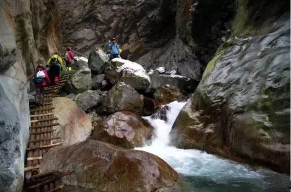 迈克尔·洛克菲勒:能继承石油帝国的他,怎么会死在食人族手里